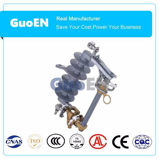 Hochspannungs-Polymer-Sicherungsausschnitt mit elektrischer Ausleitung für den Außenbereich